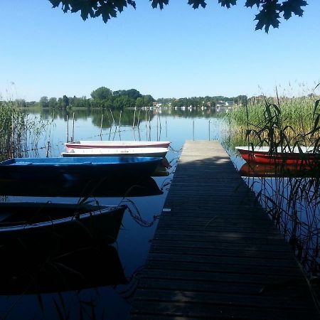 Holzhaus Trollbluemchen Am Wald Und See Neuruppin Dış mekan fotoğraf