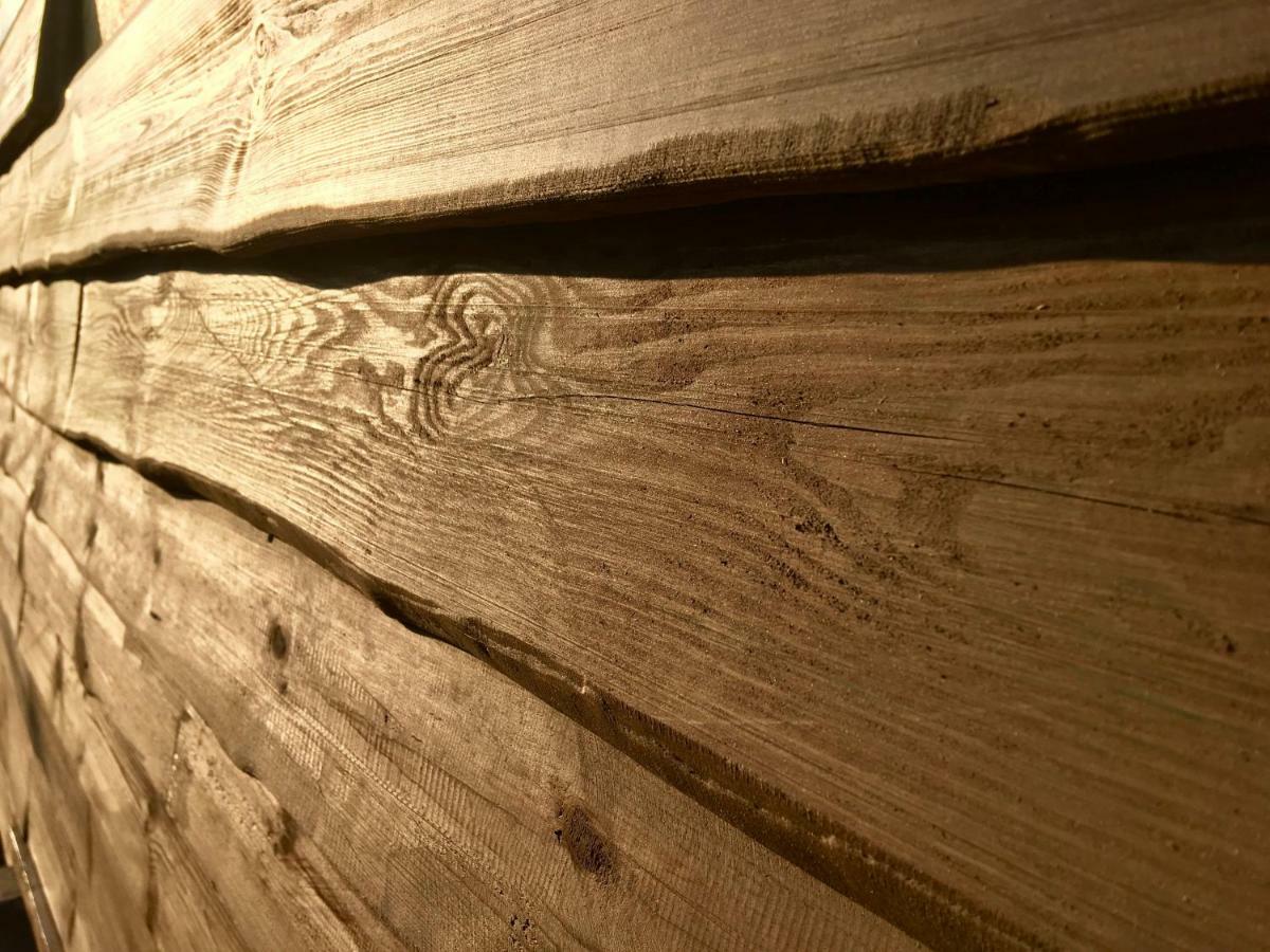 Holzhaus Trollbluemchen Am Wald Und See Neuruppin Dış mekan fotoğraf