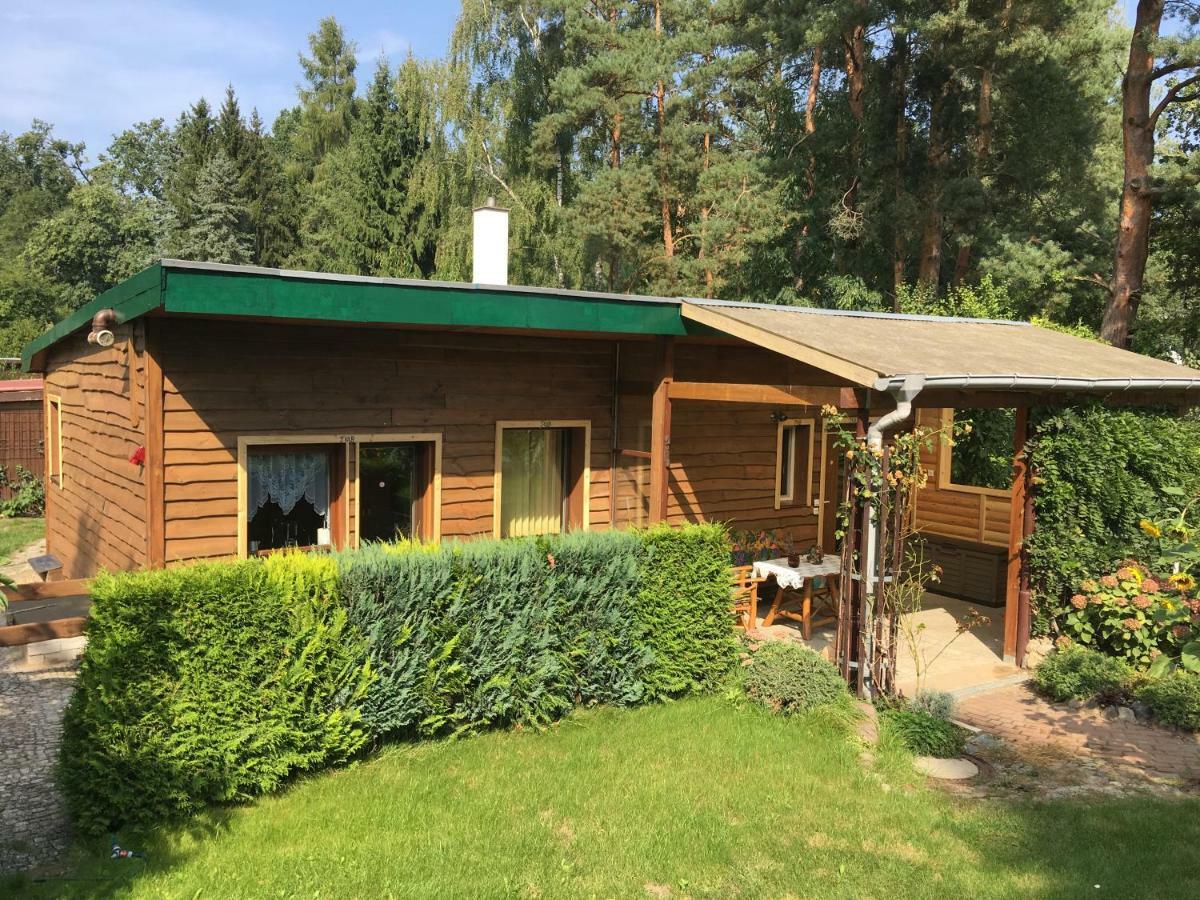 Holzhaus Trollbluemchen Am Wald Und See Neuruppin Dış mekan fotoğraf
